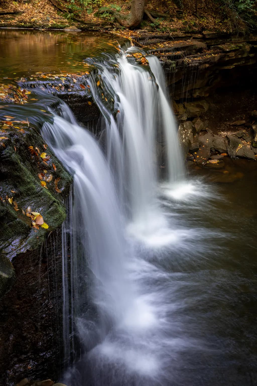 Autumn Flows
