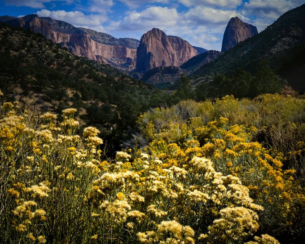 Kolob Canyon