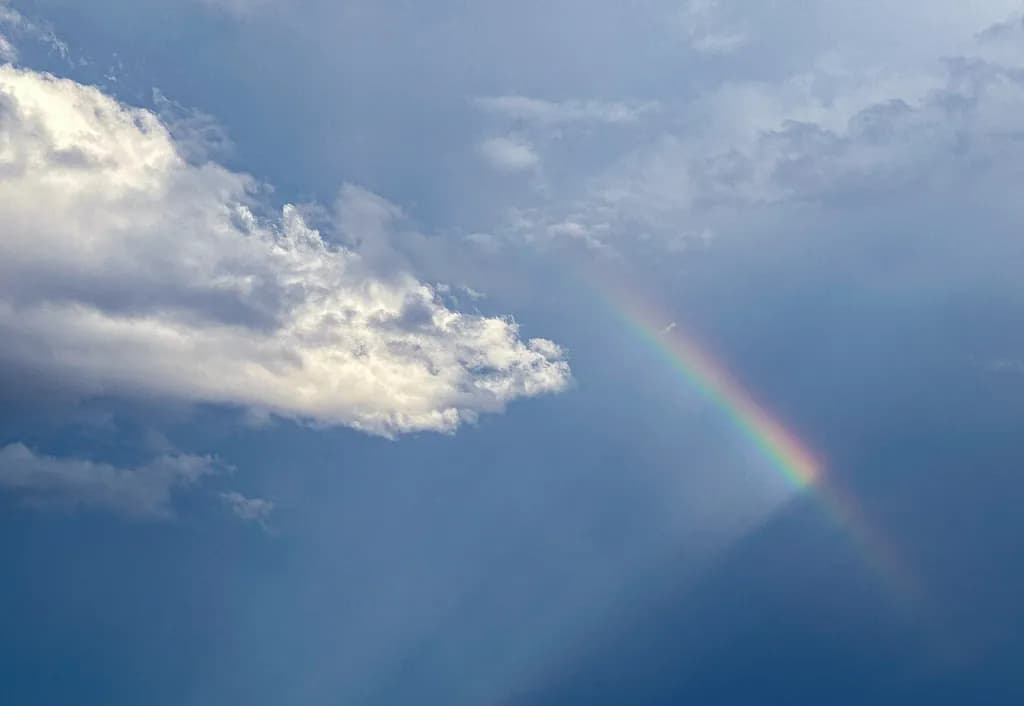 Magical Dragon Rainbow