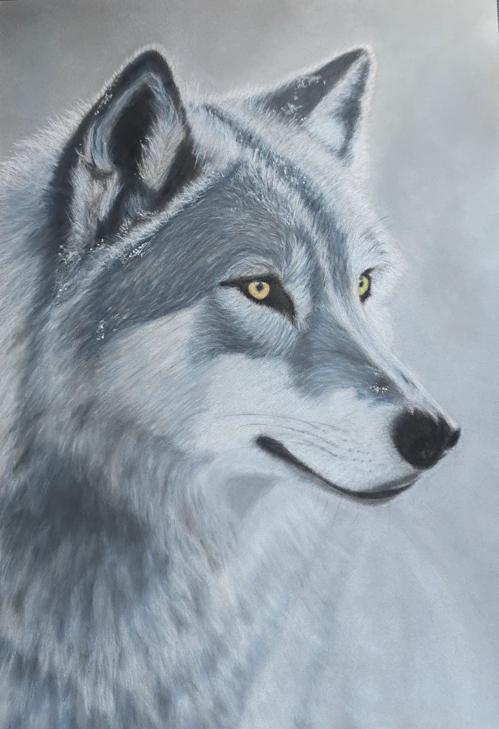 Whispers of the Arctic: A Majestic Wolf Portrait in Soft Hues