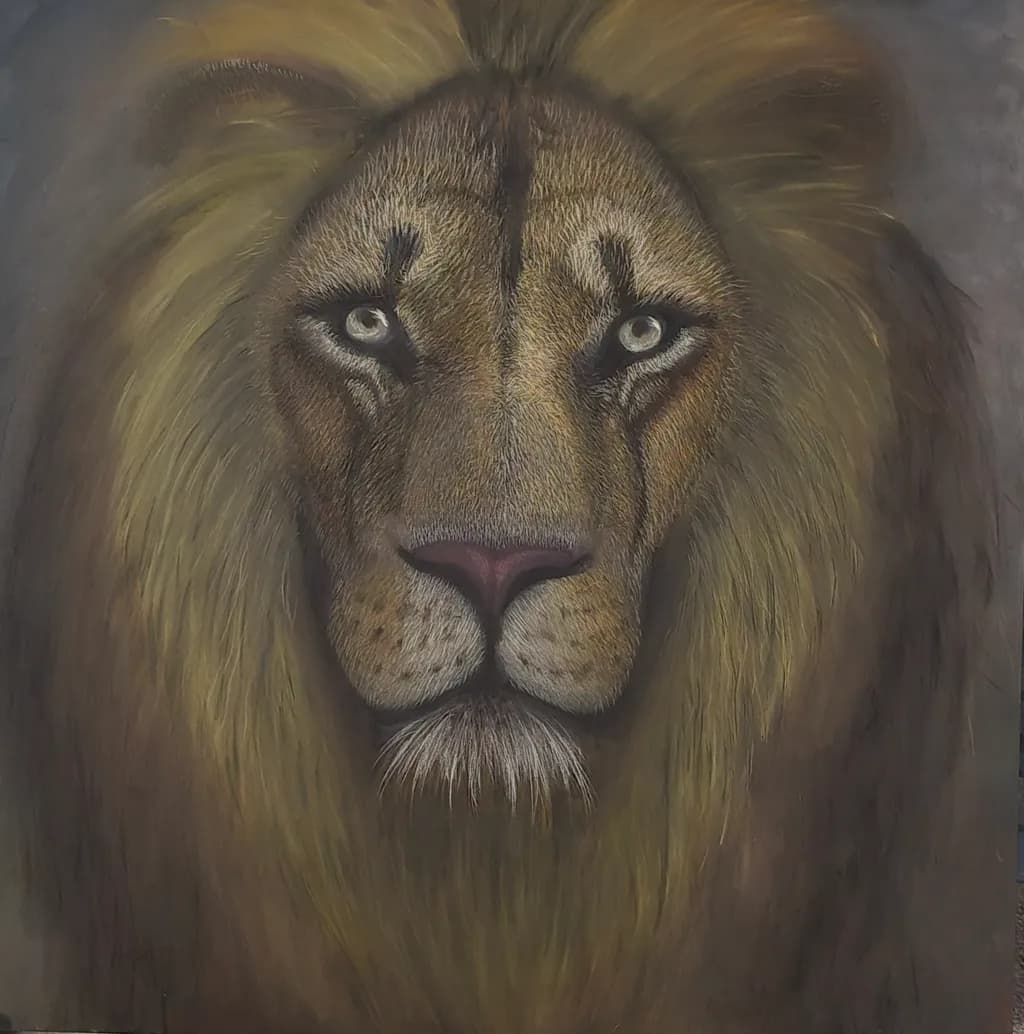 Majestic Stare