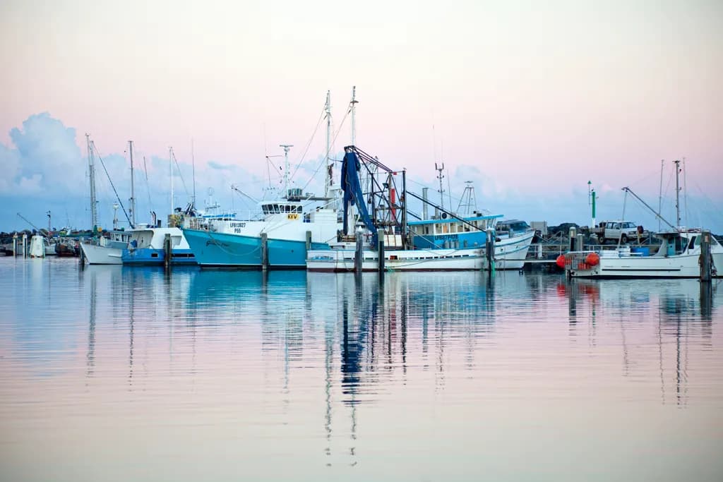 Coffs Harbour