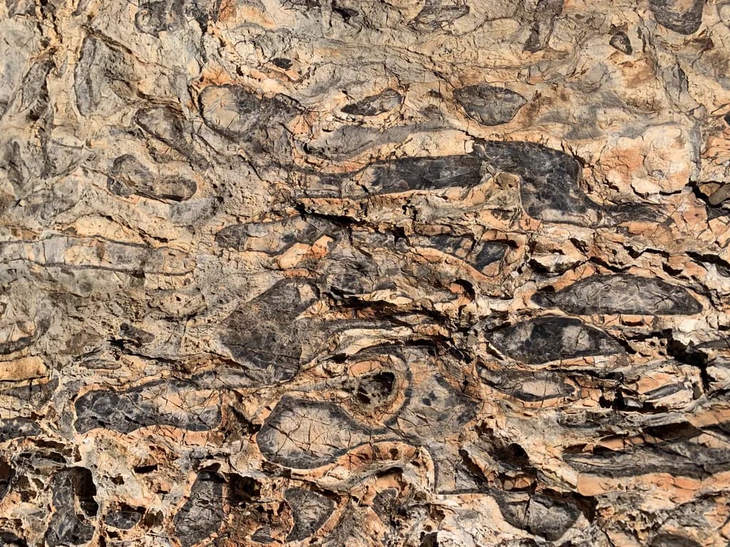 Geological Patterns