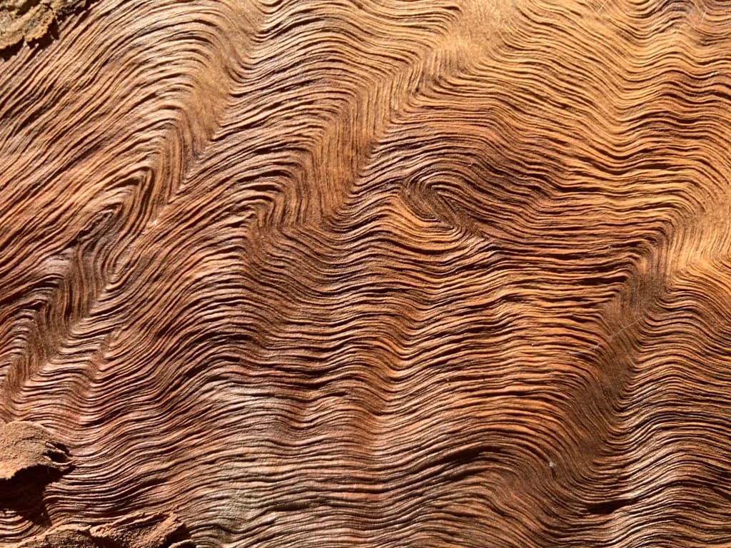 Waves of Wood