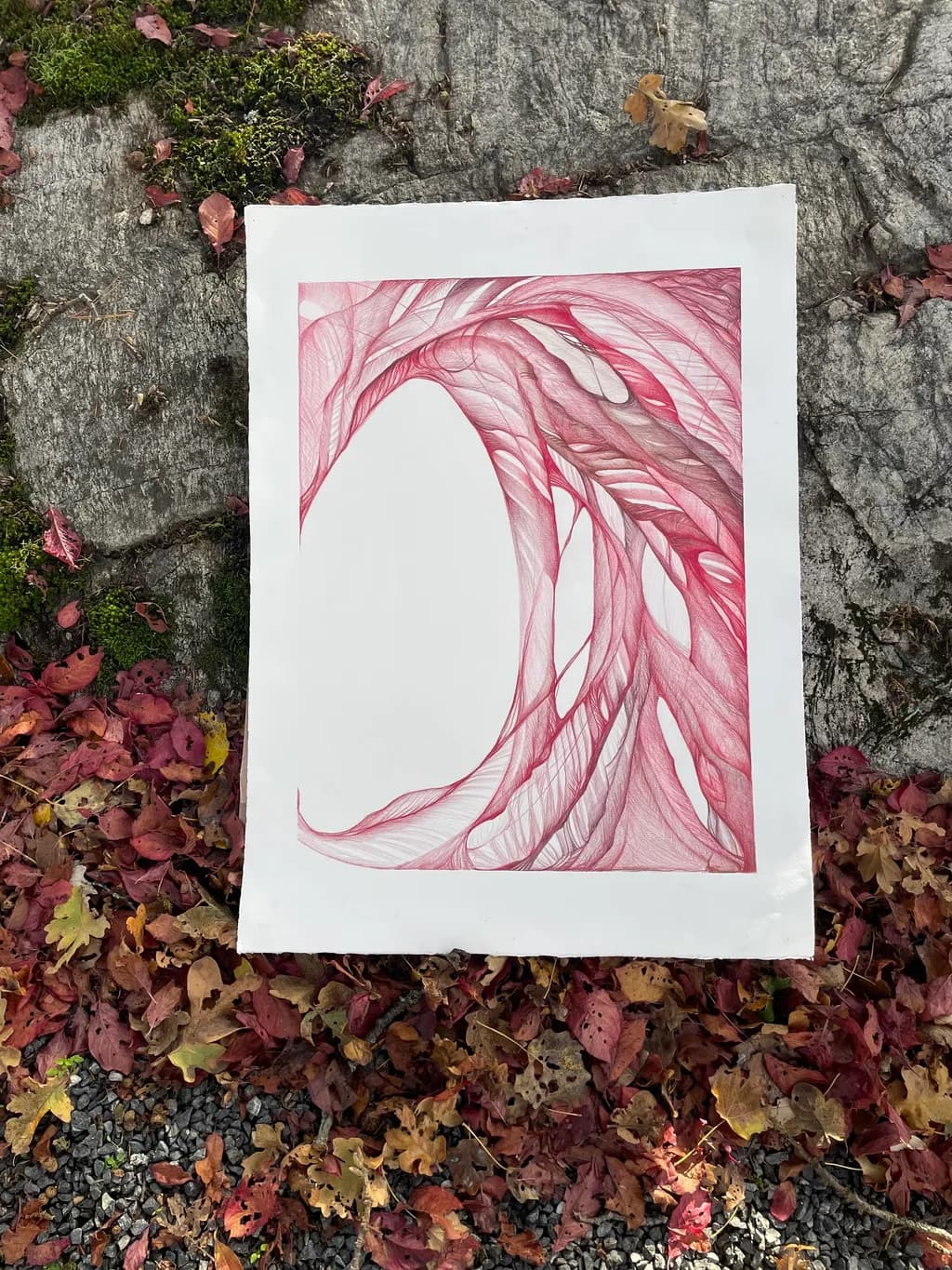 Whispers of Nature: A Delicate Dance of Red and White Lines