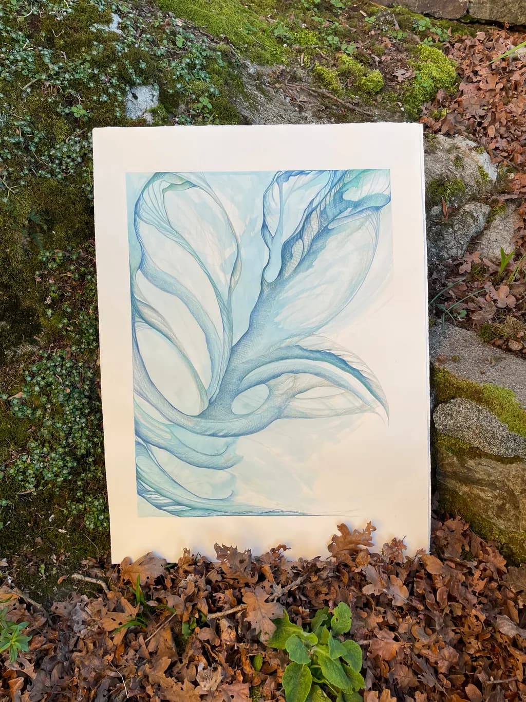 Aerial Veins