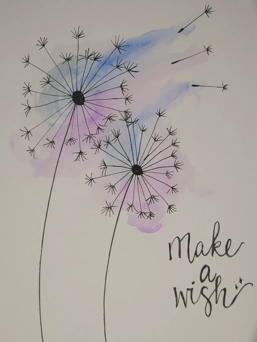 Dandelion Dreams