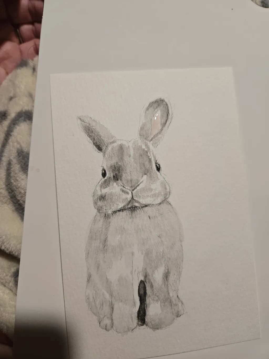 Gentle Rabbit Sketch