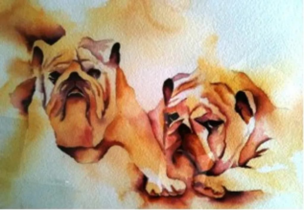 Bulldog Duo