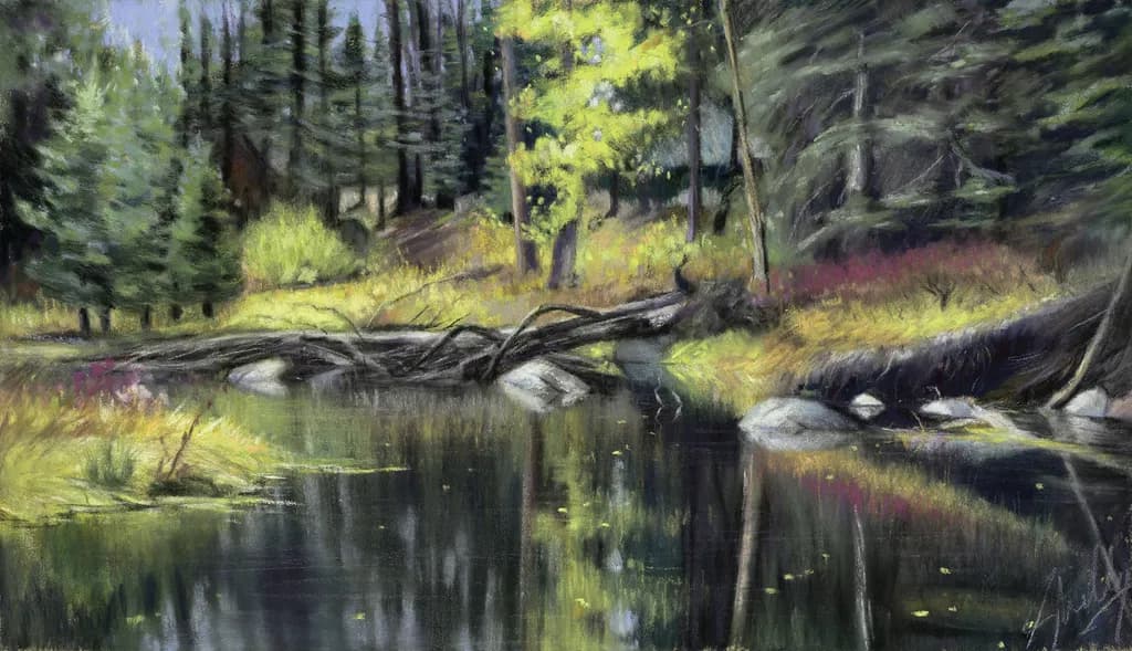 Forest Reflection