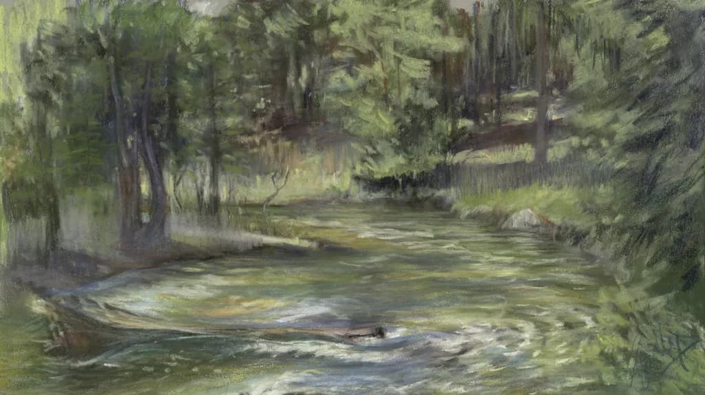 Forest Stream Passage