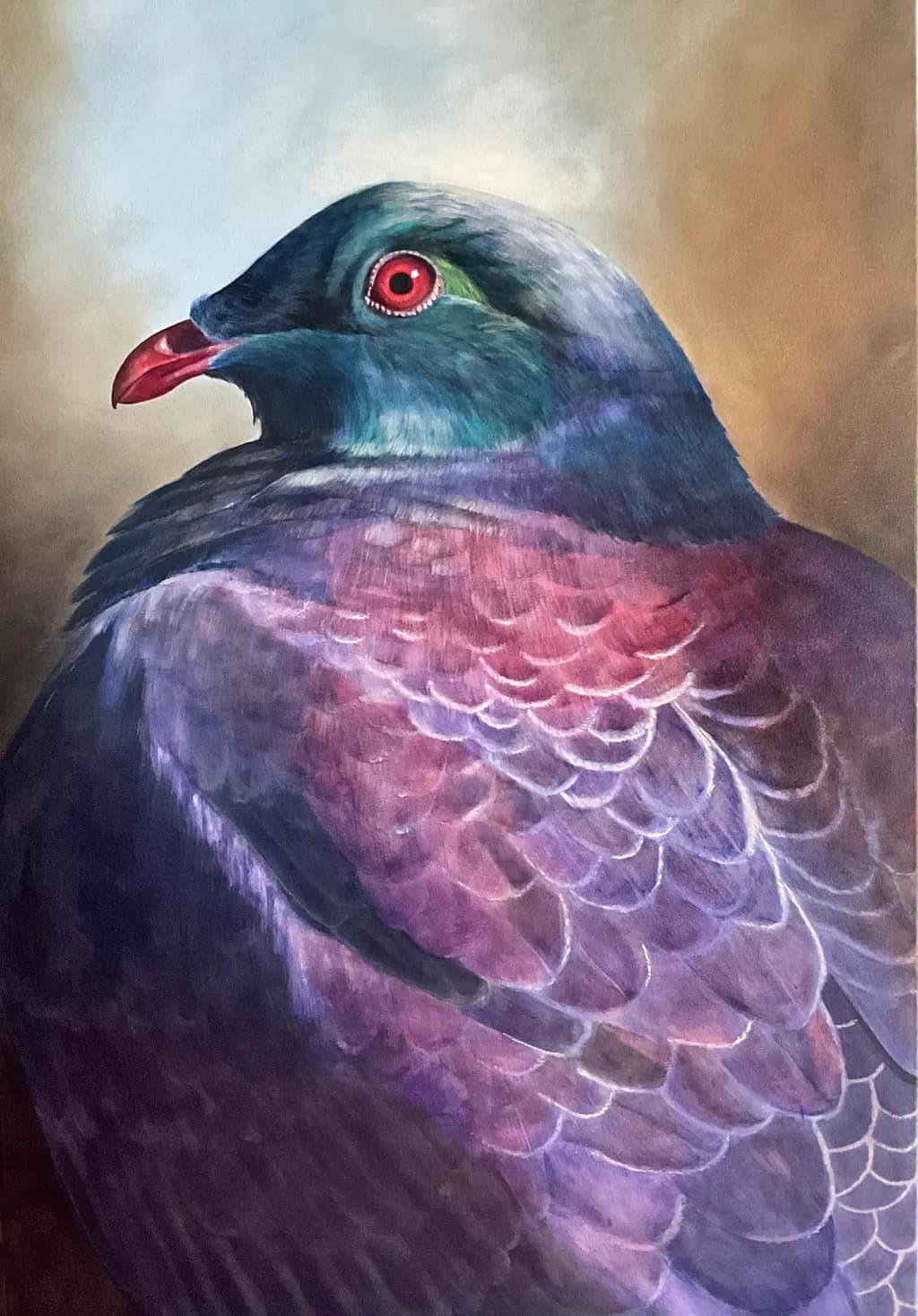 Pigeon Plumage