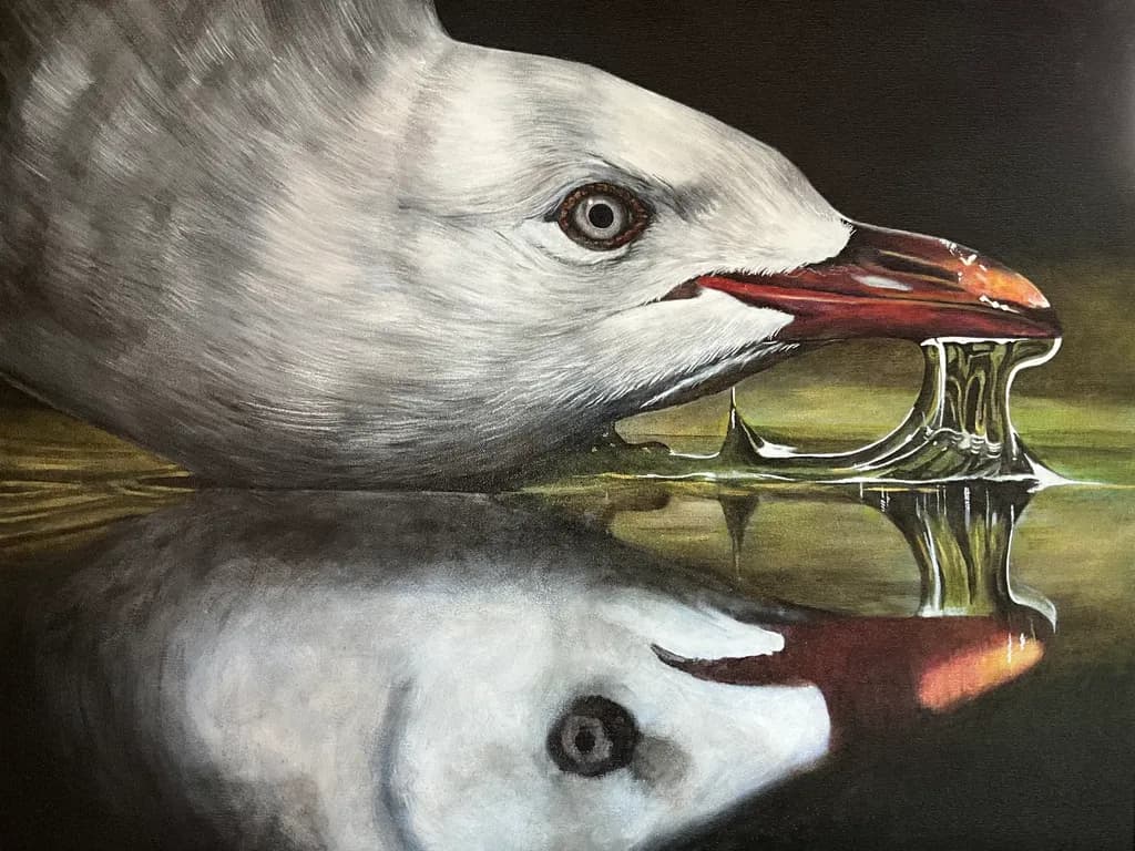 Seagull Reflection