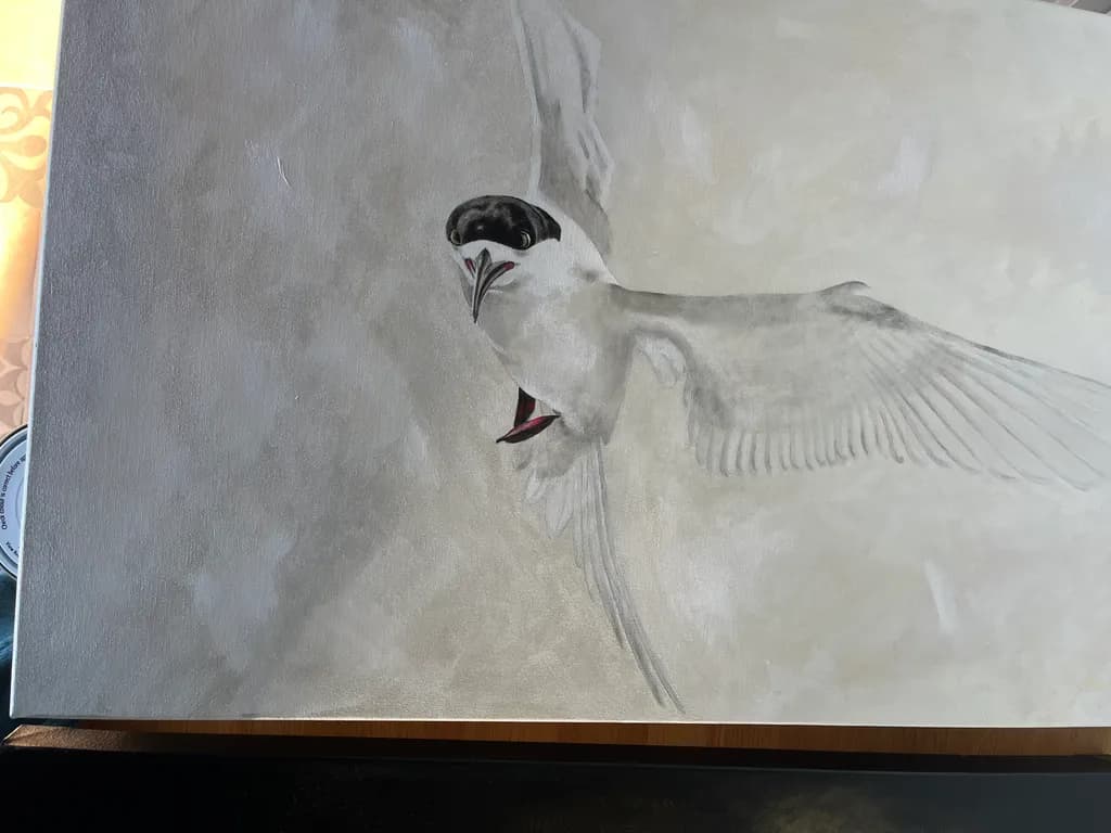 Soaring Silence