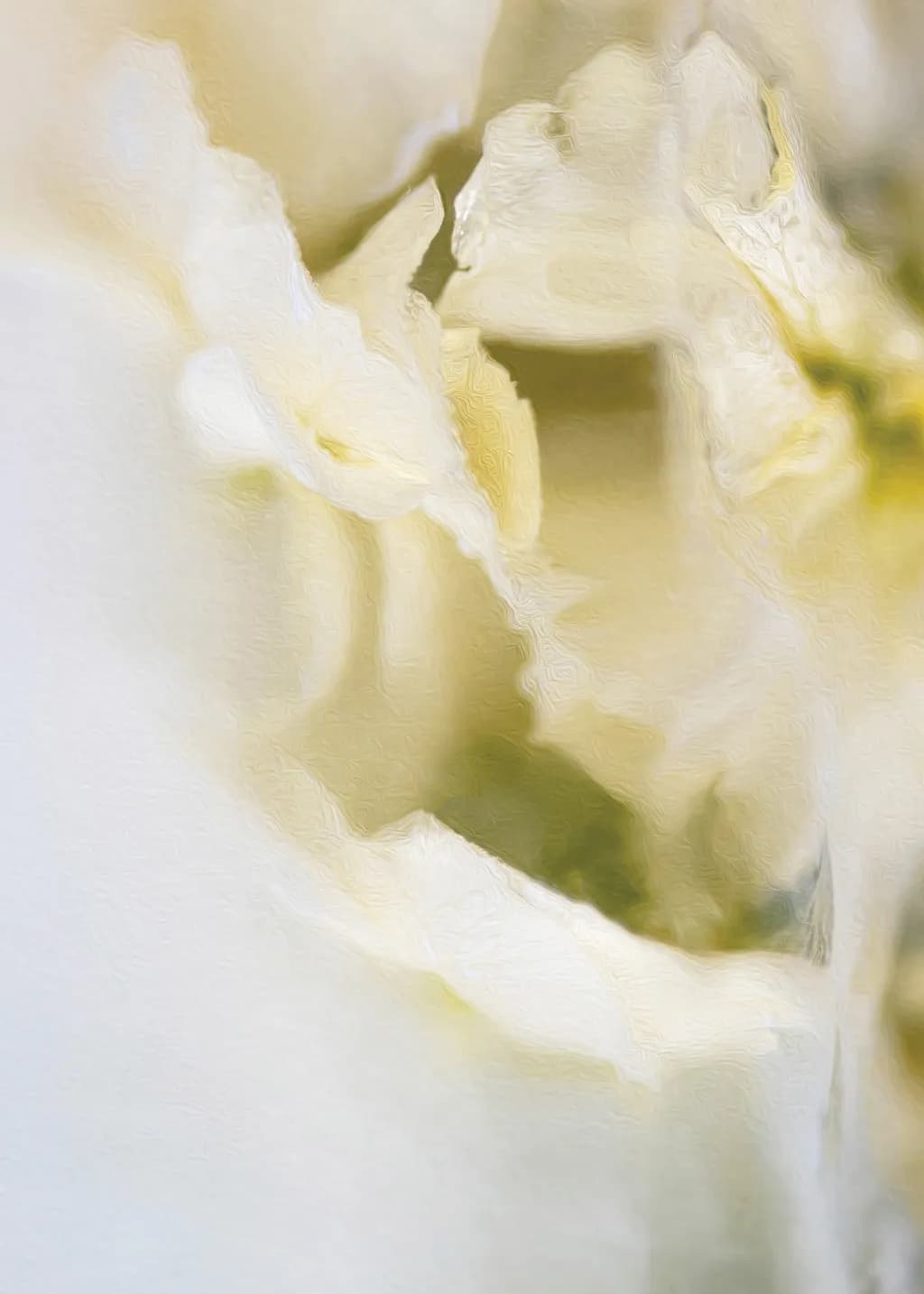 Baroque No.12