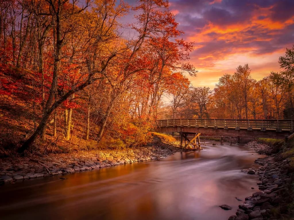 Mineral Springs in Autumn