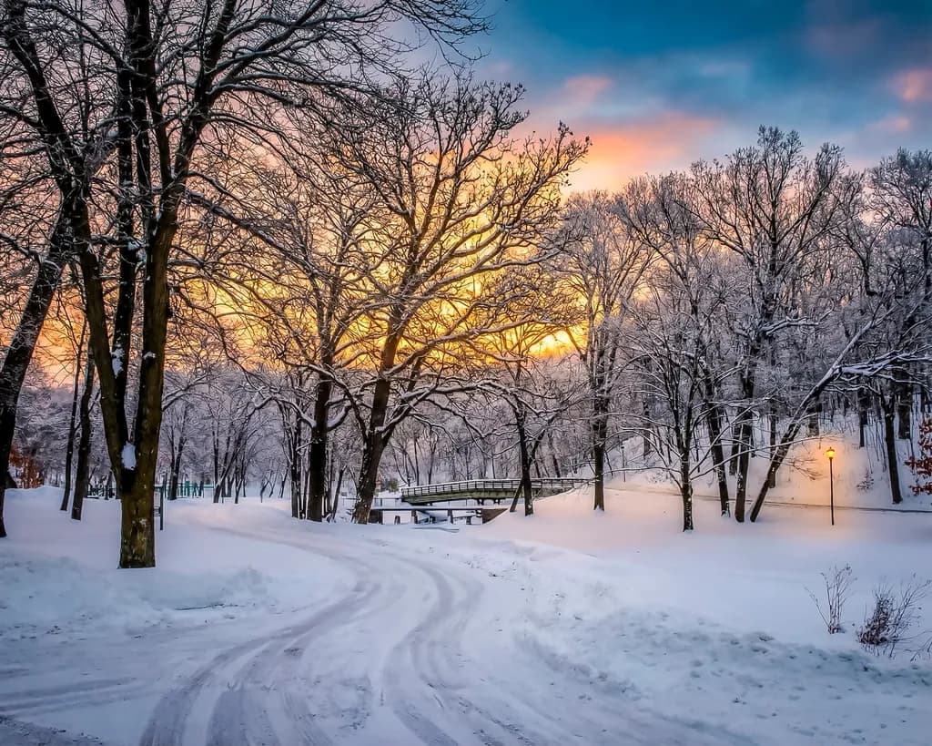 Winter in Mineral Springs