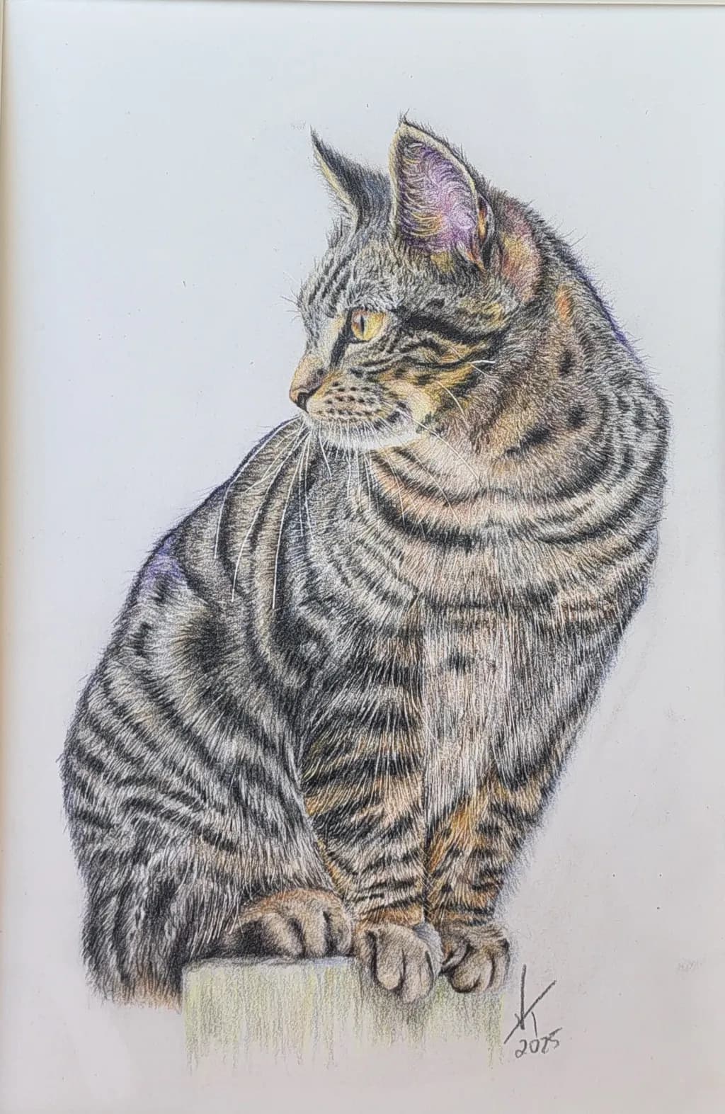 Striped Vigilance