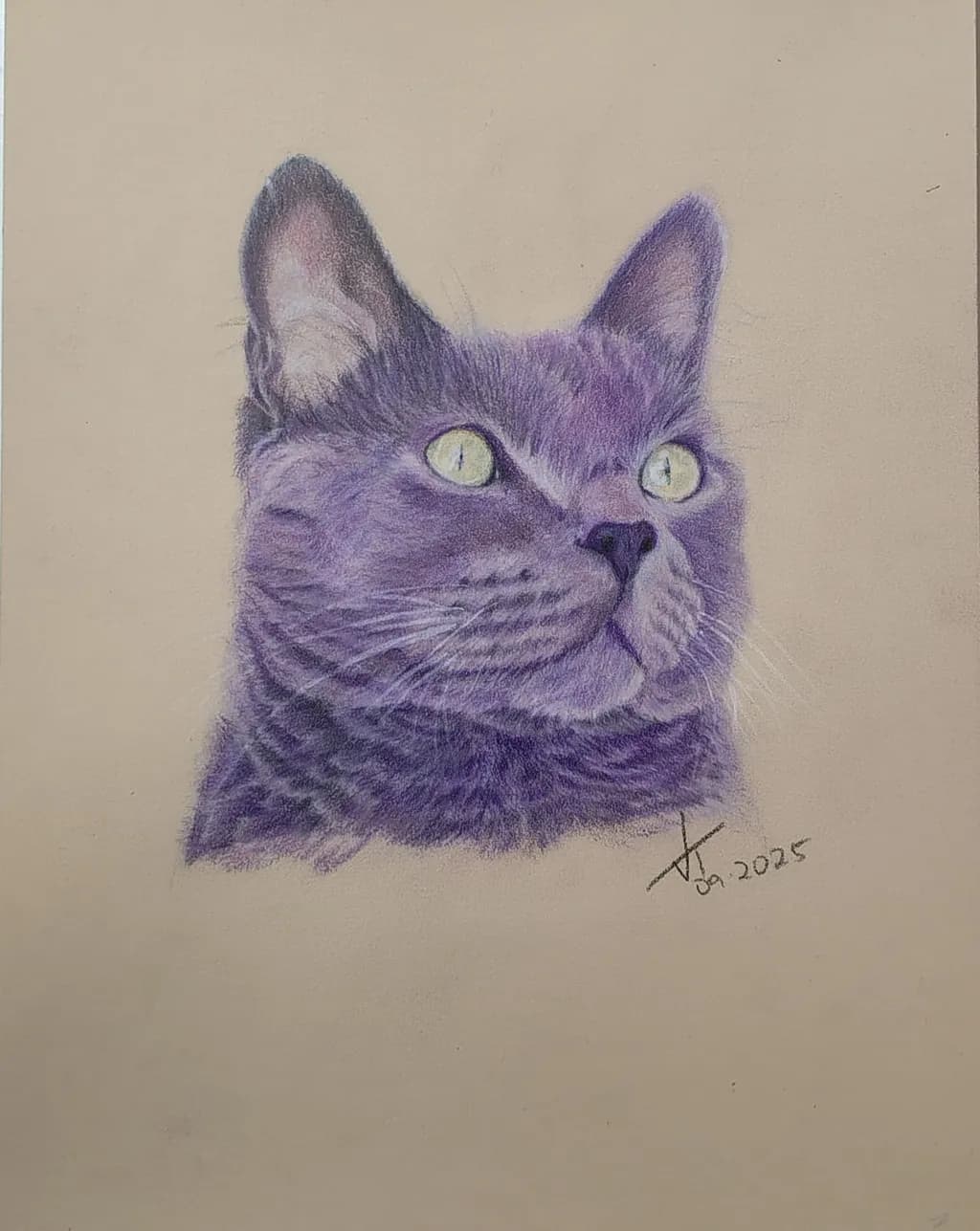 Purple Gaze