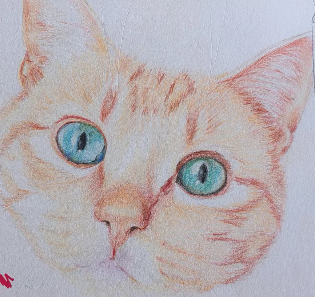 Blue-Eyed Gaze