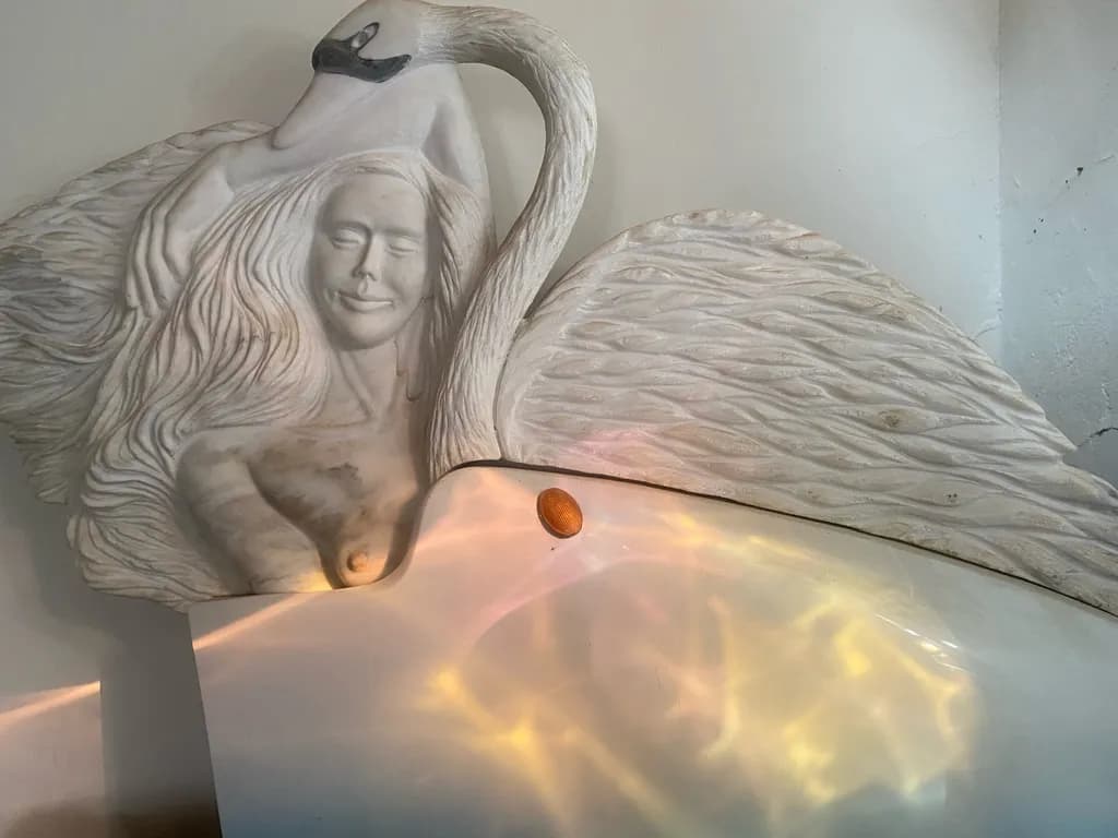 Swan Embrace