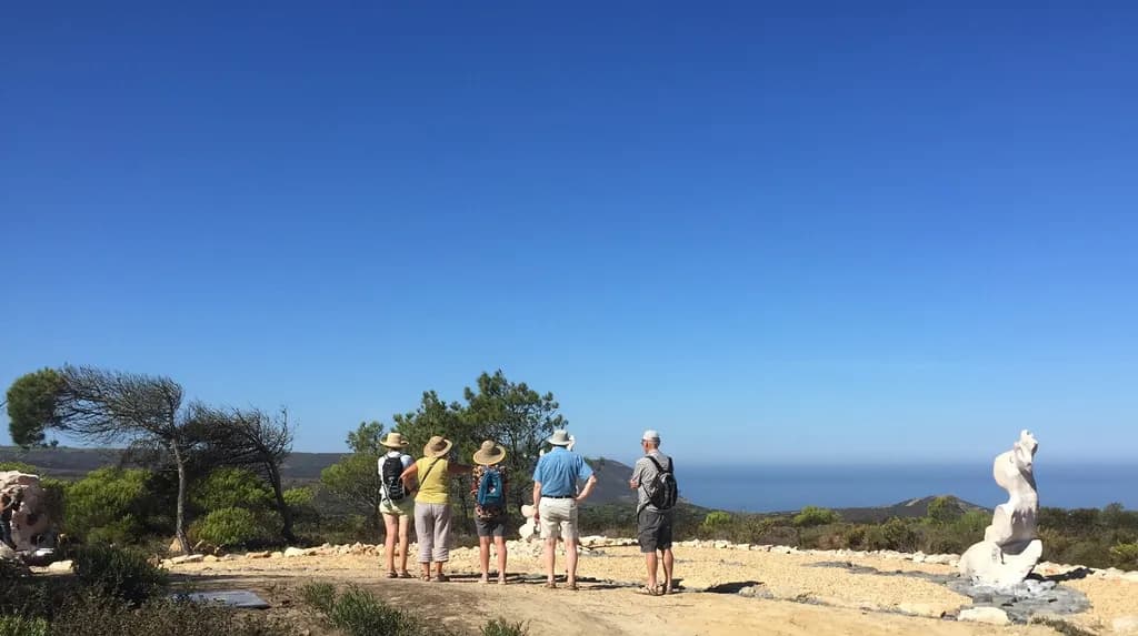 Coastal Gazers