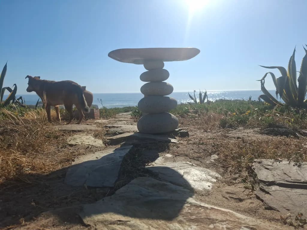 Coastal Balance