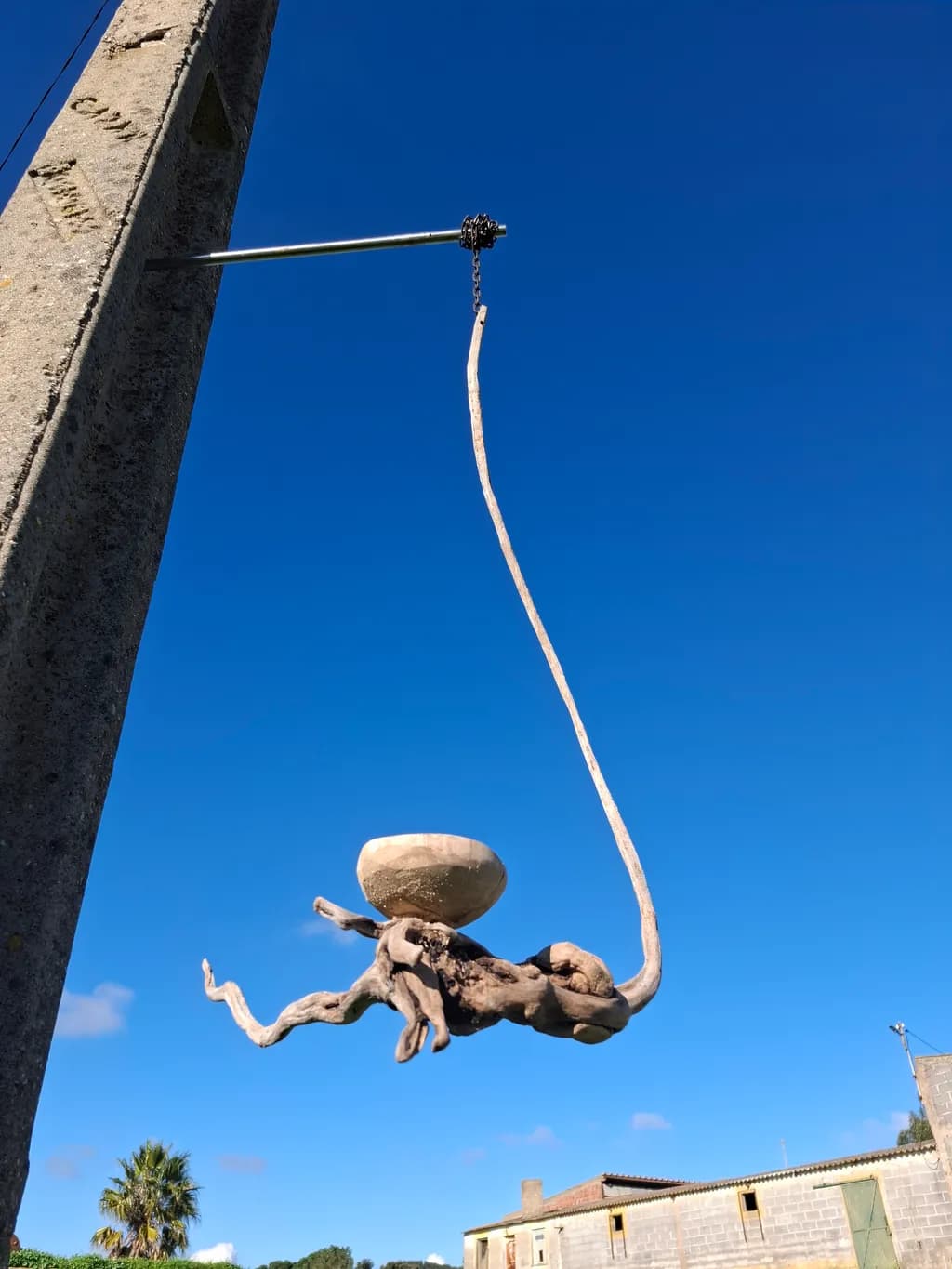 Suspended Driftwood Bowl
