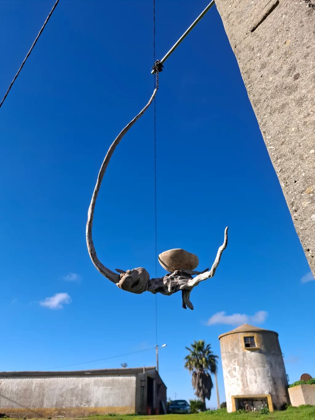 Suspended Driftwood