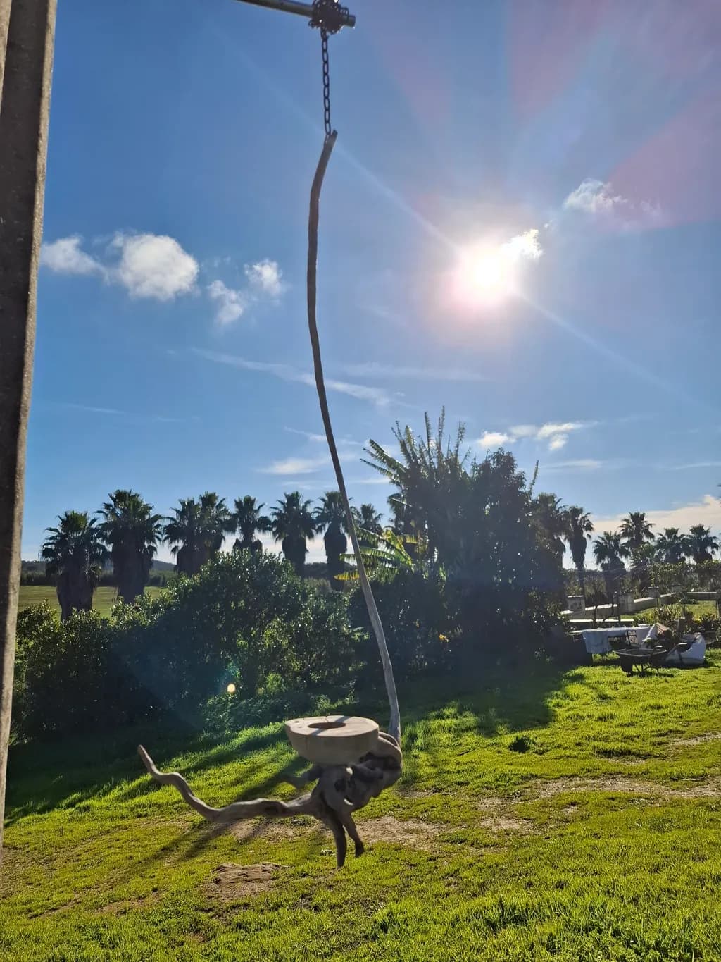 Driftwood Swing