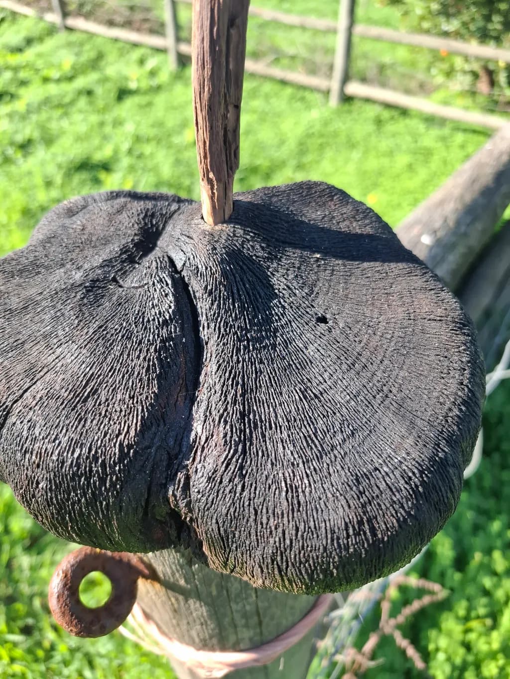 Weathered Wood Top