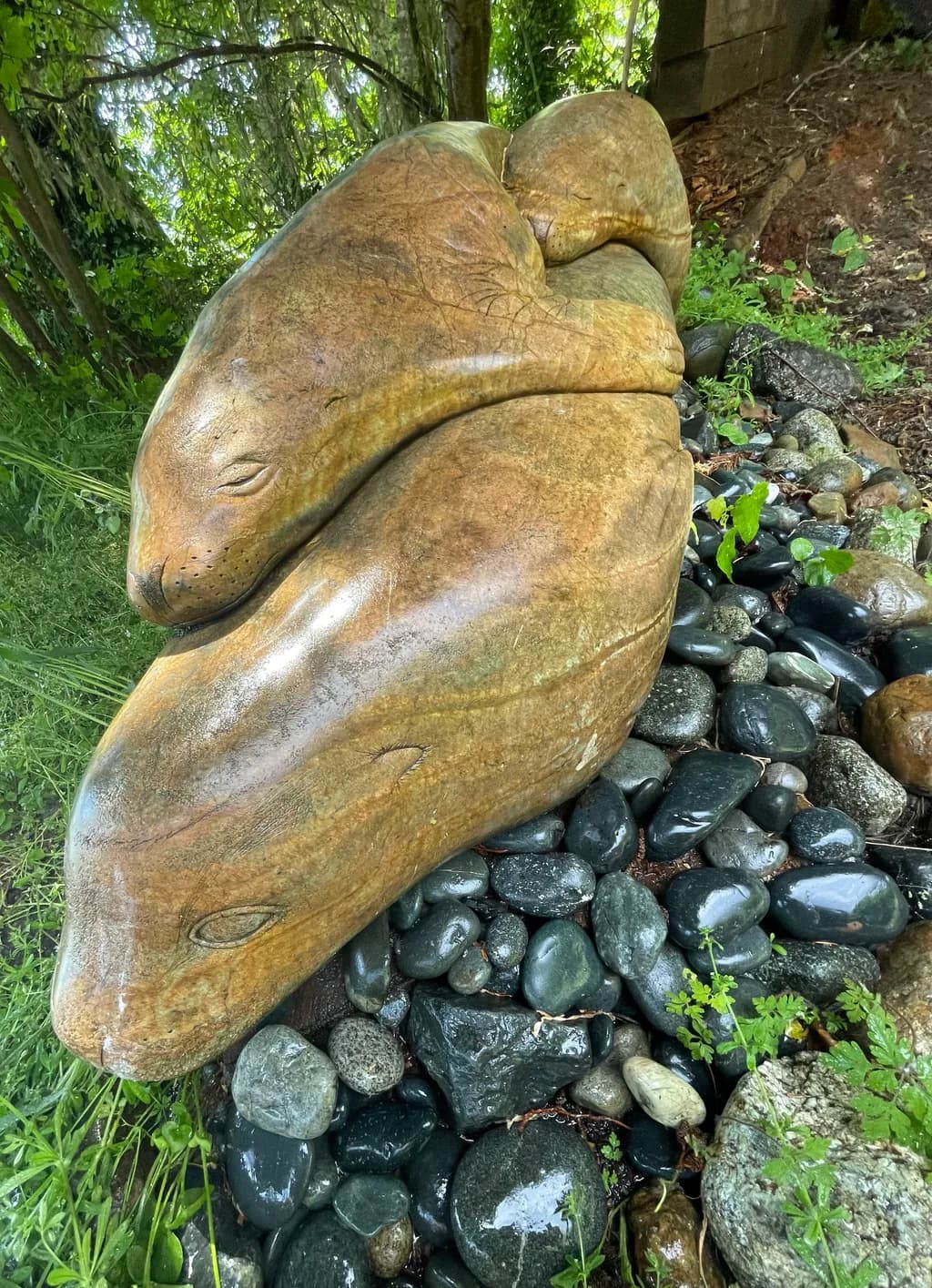 Resting Companions