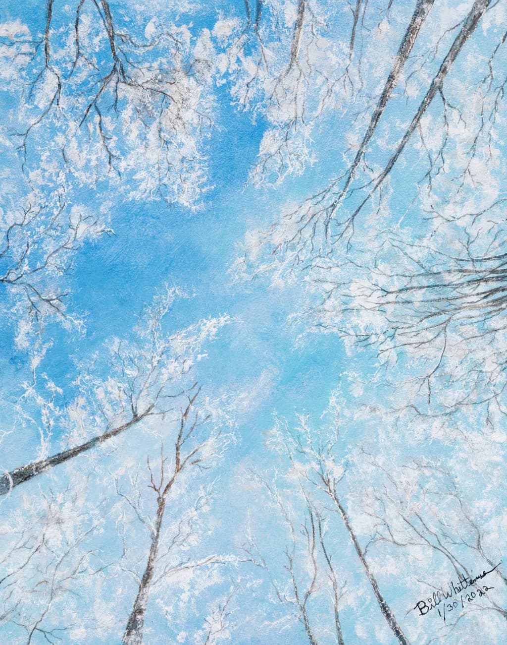 Looking Skyward