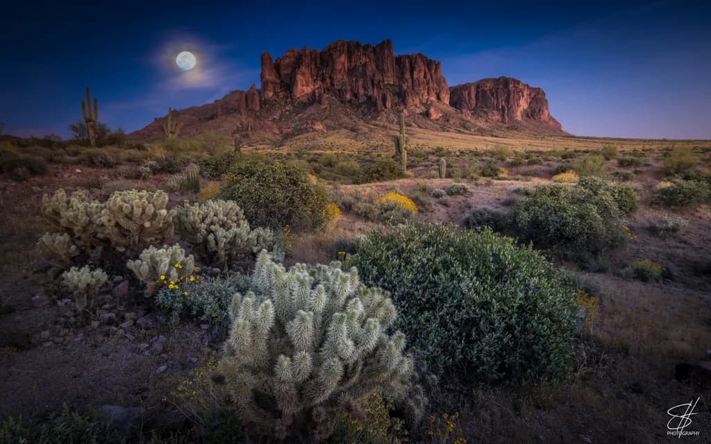 Coyote Mon over the Lost Dutchman