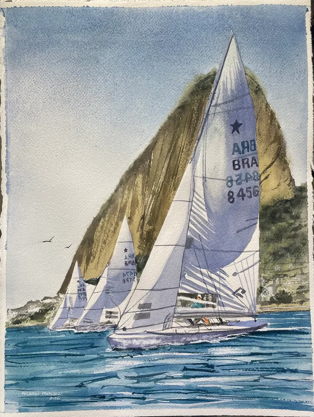 Sailing by the Cliff