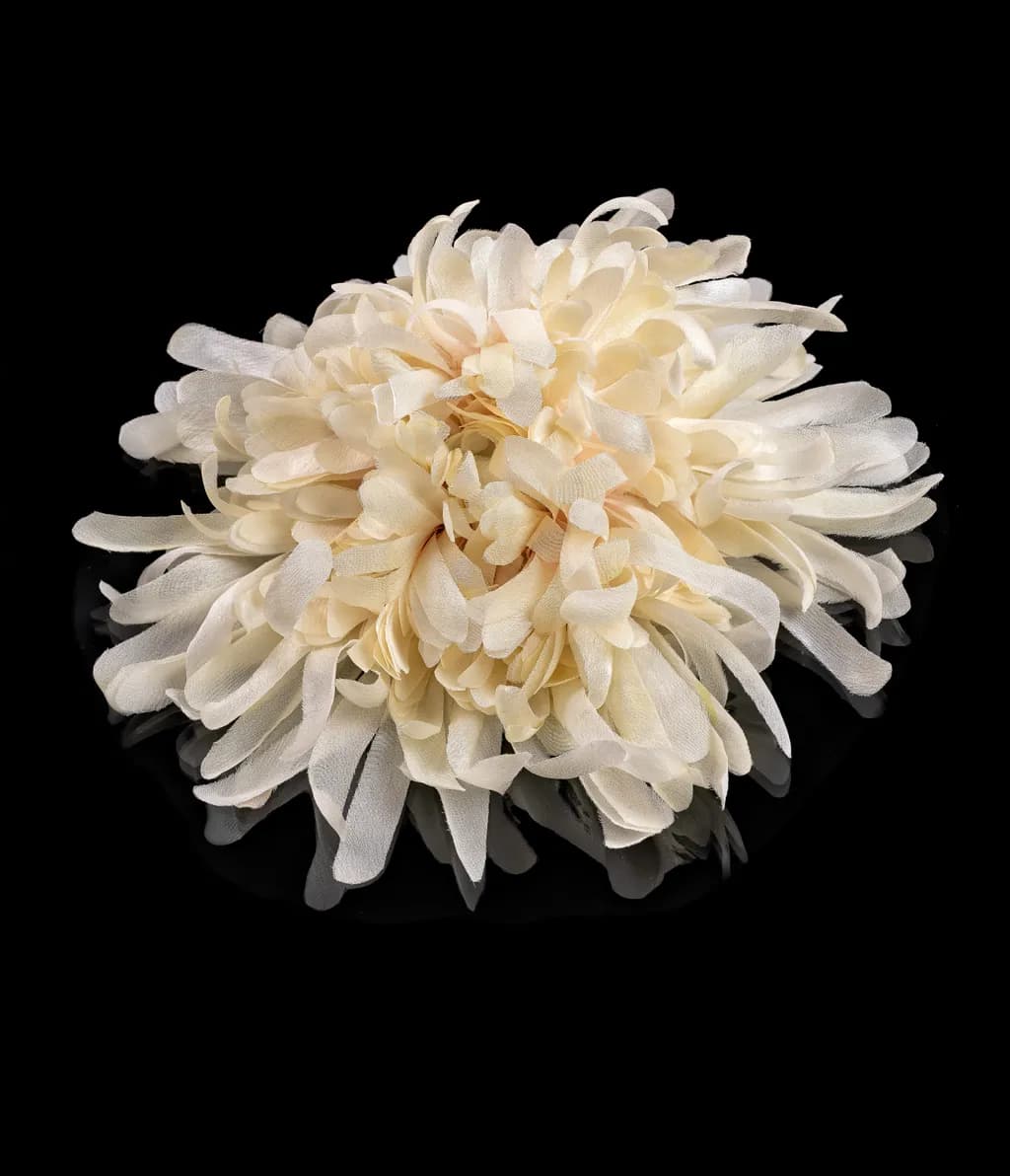 Ivory Wisper