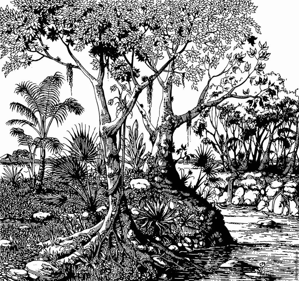 Jungle Trail