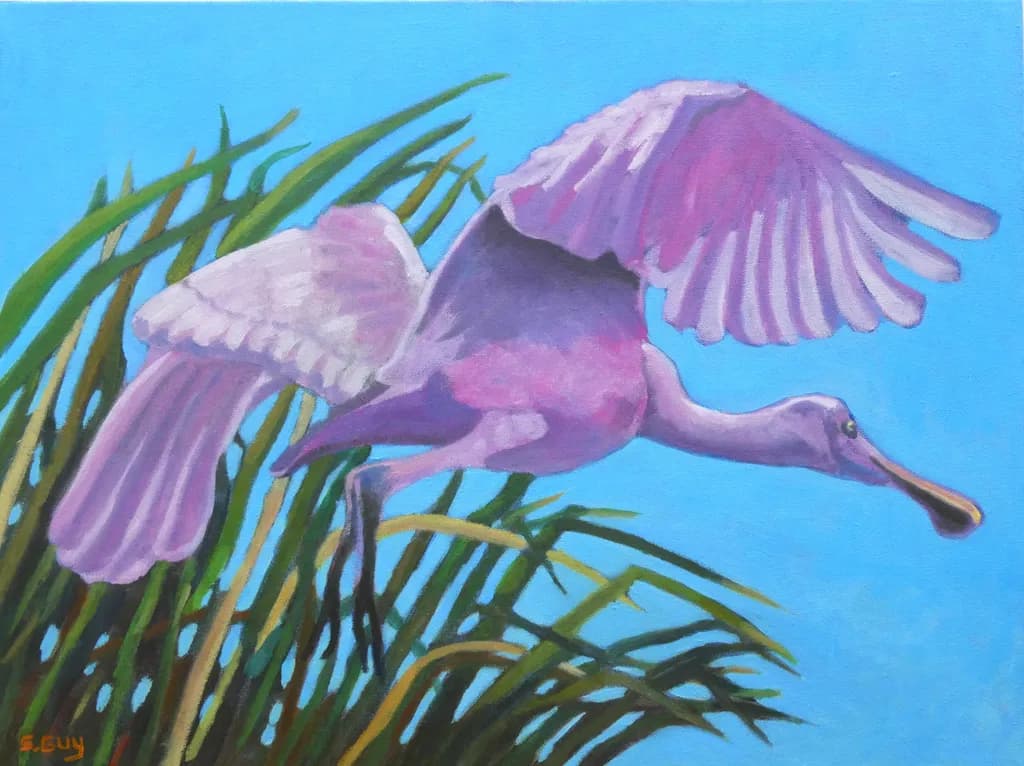 The Launch Roseate Spoonbill