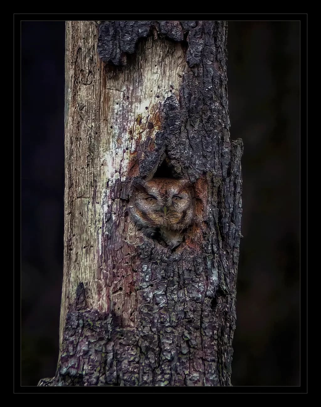 Blending In
