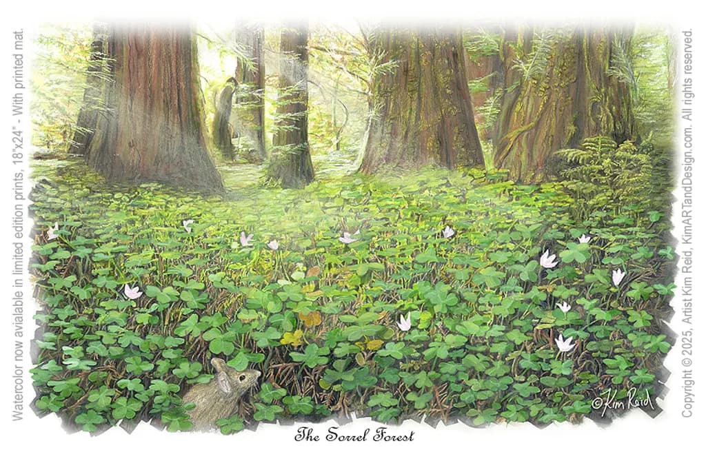 Sorrel Forest