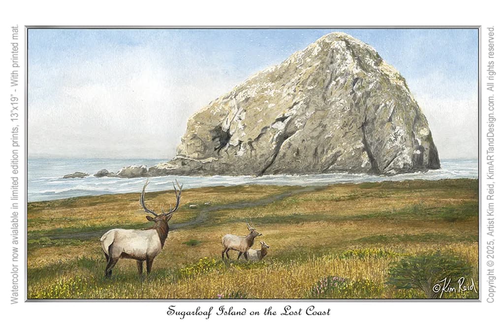 Sugarloaf Island on the Lost Coast
