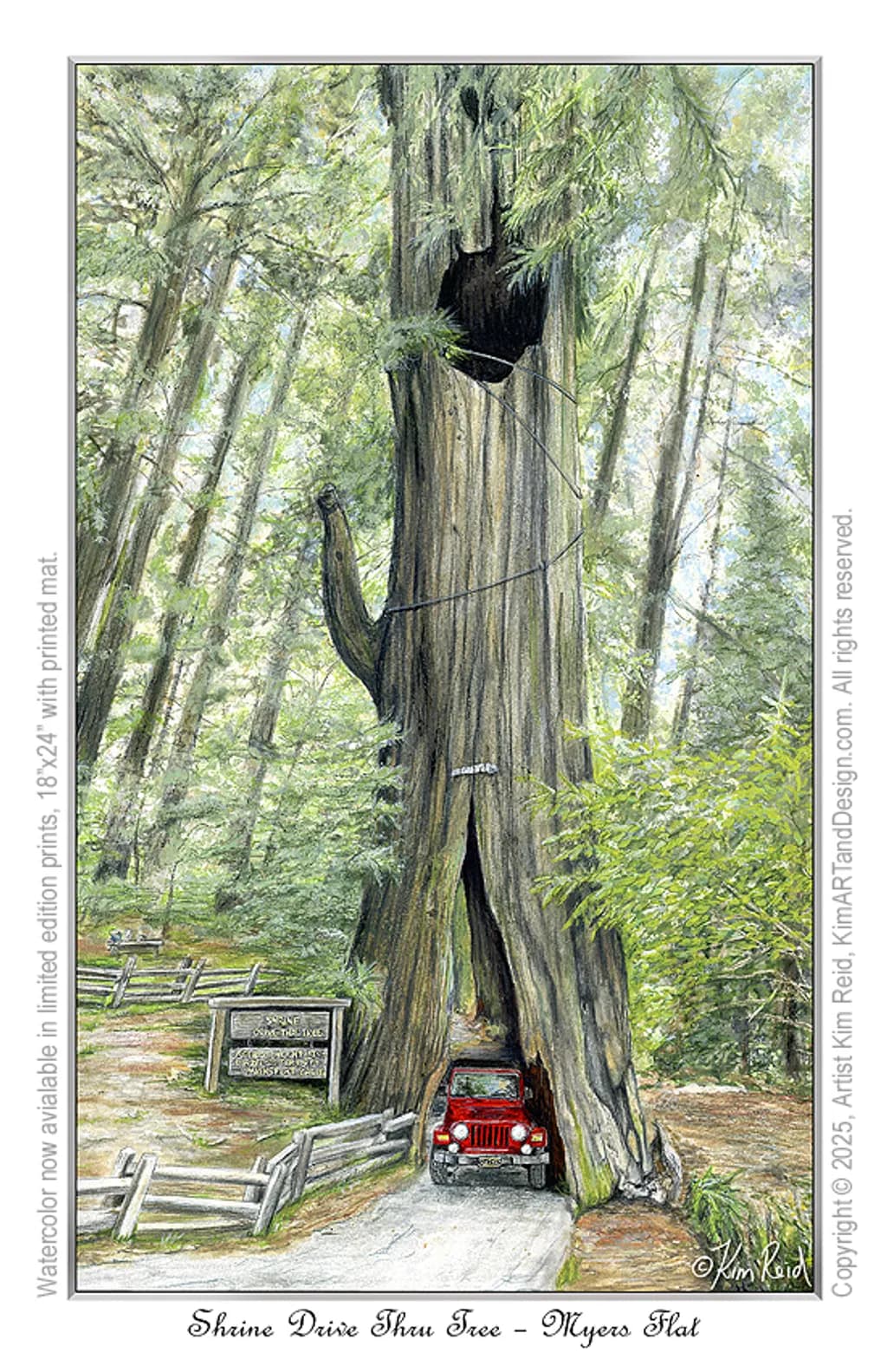 Shrine Drive Thru Tree