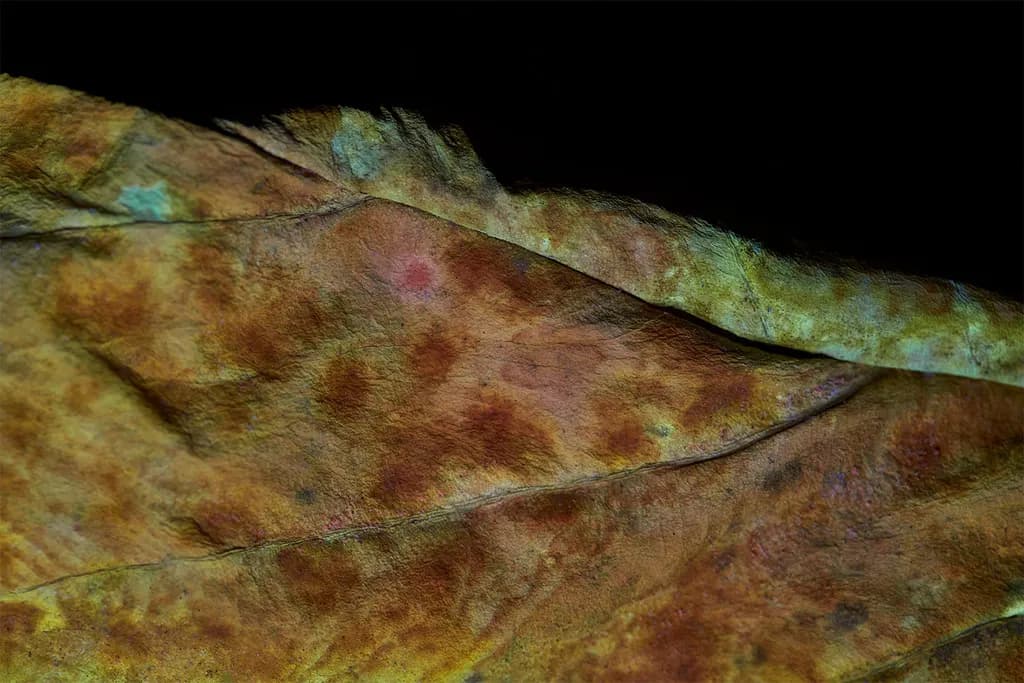 Faded Leaf Texture