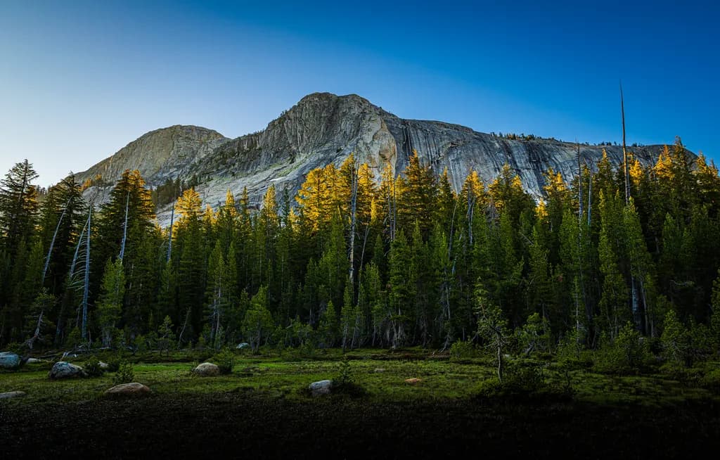 Granite Walls & Yellow Treetops