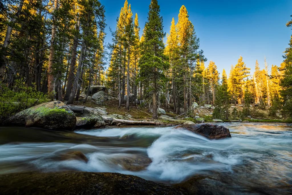 Dana Fork Serenity