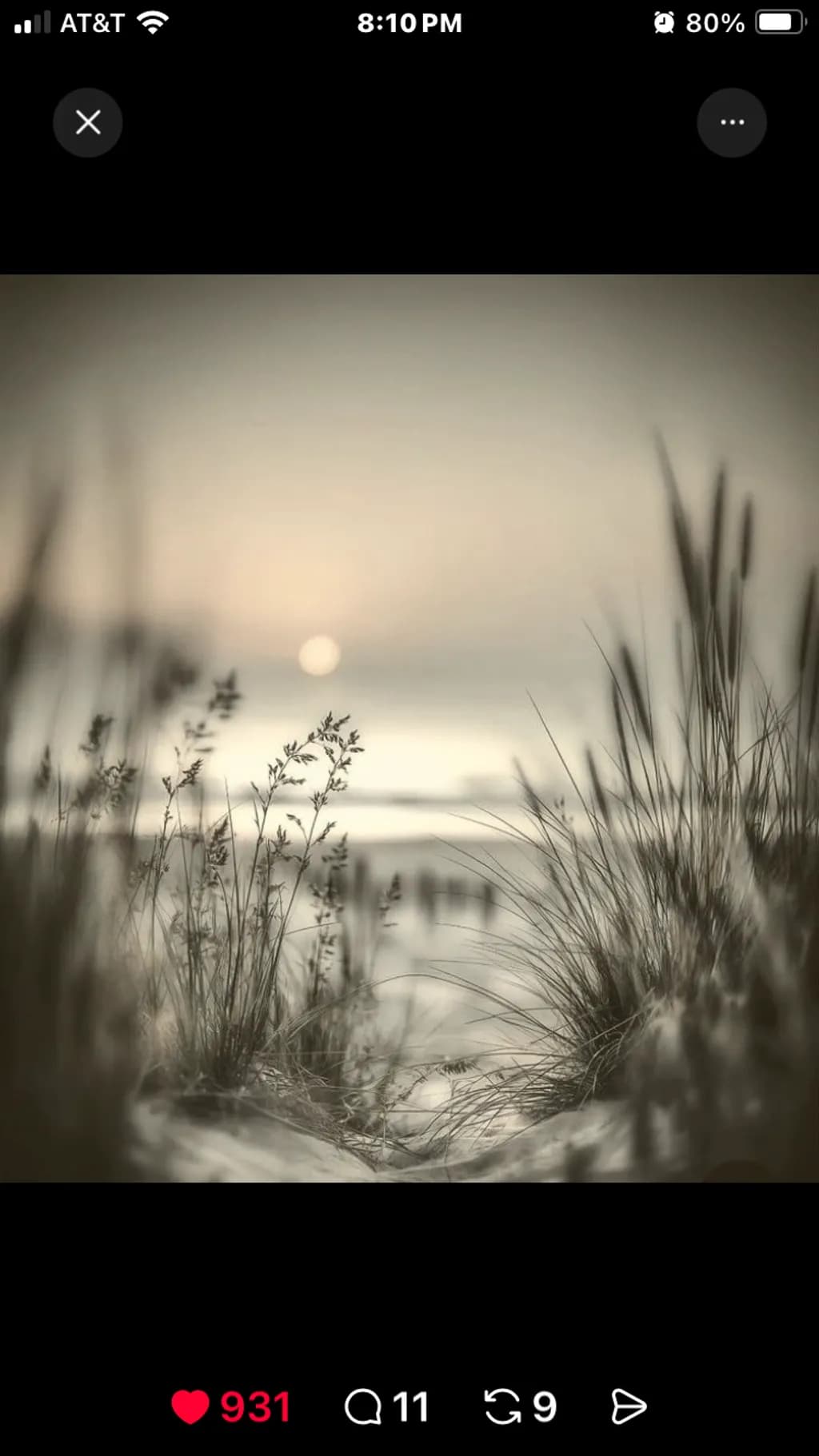 Tranquil Pathway