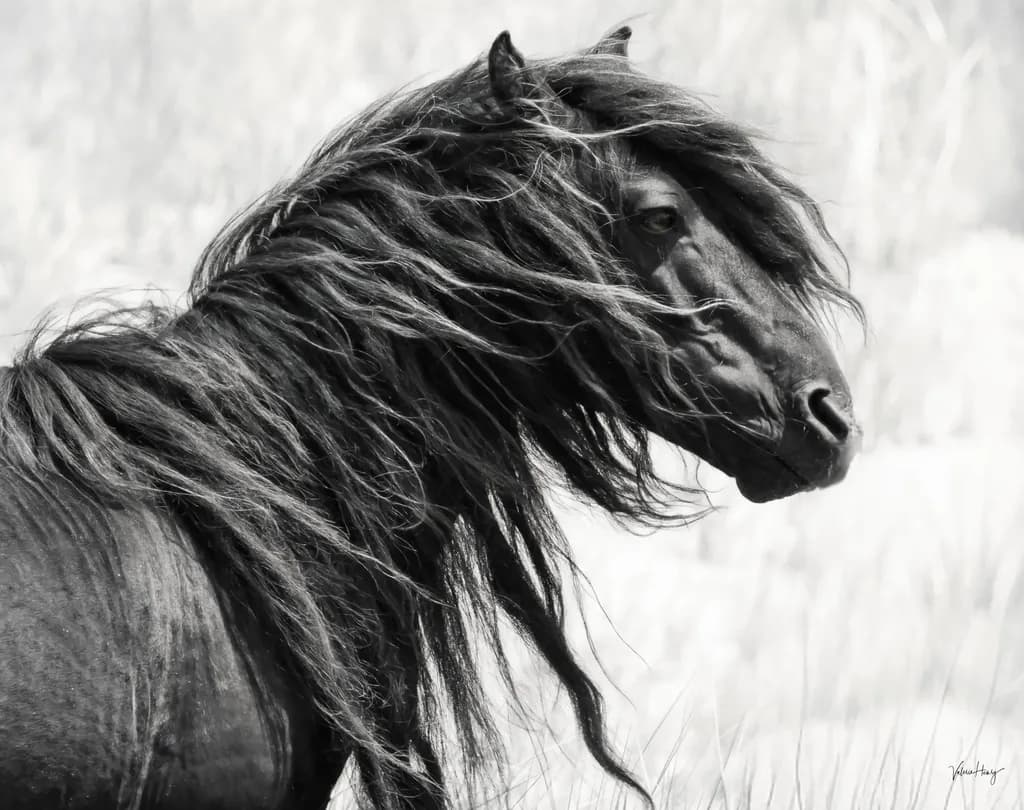 Windblown