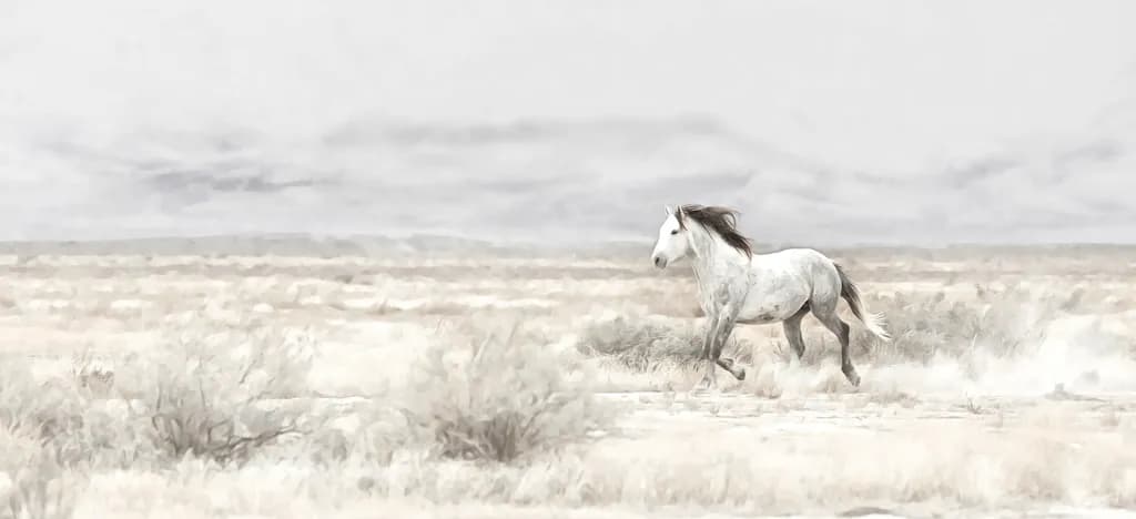 Silver Wind
