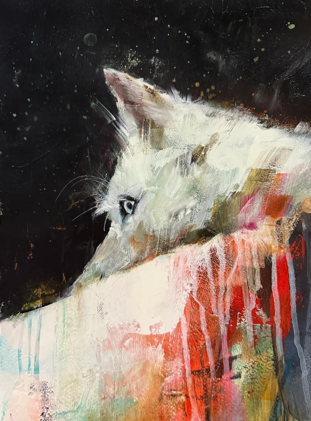 Solstice Dreamer