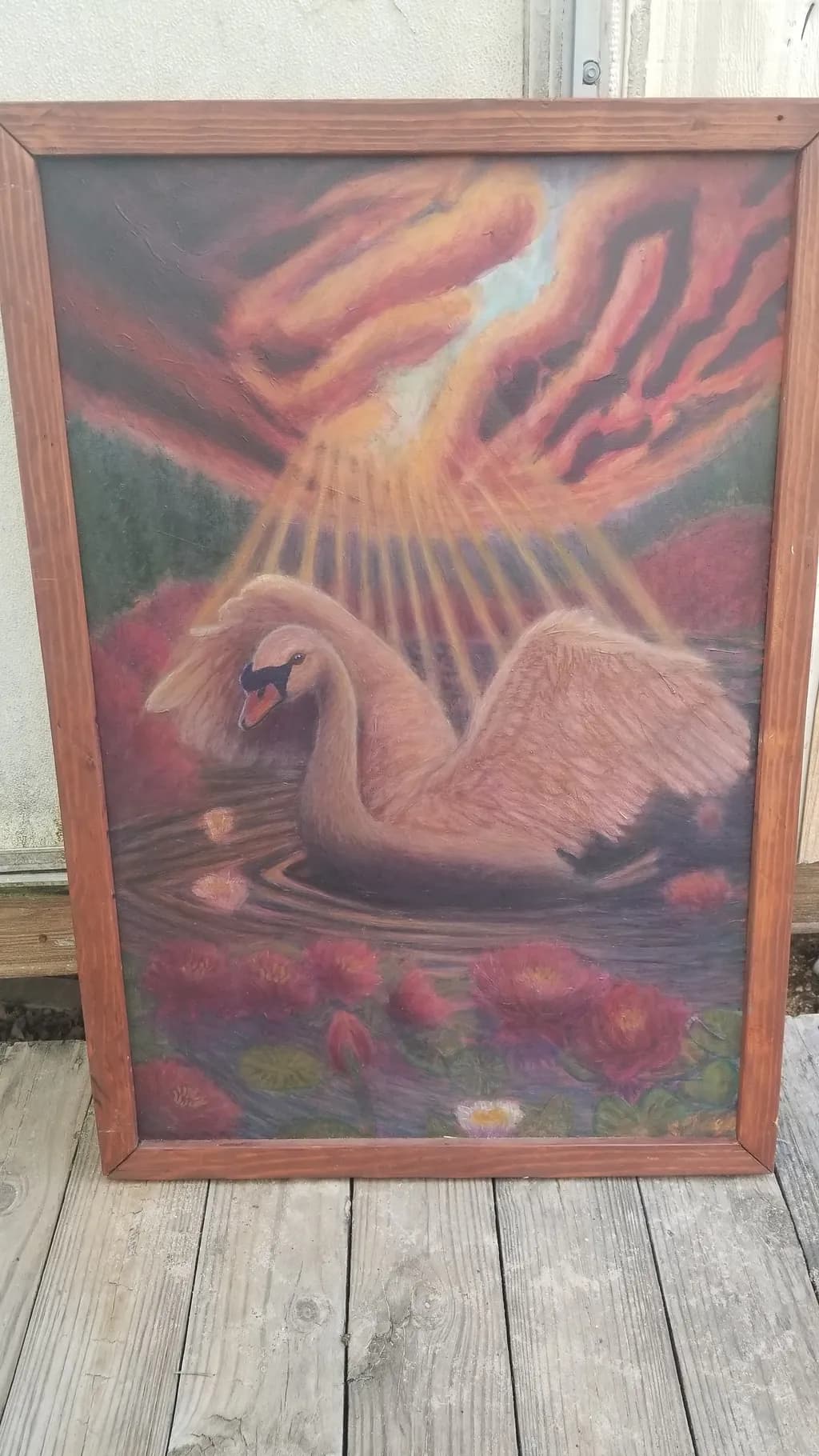 Sunlit Swan
